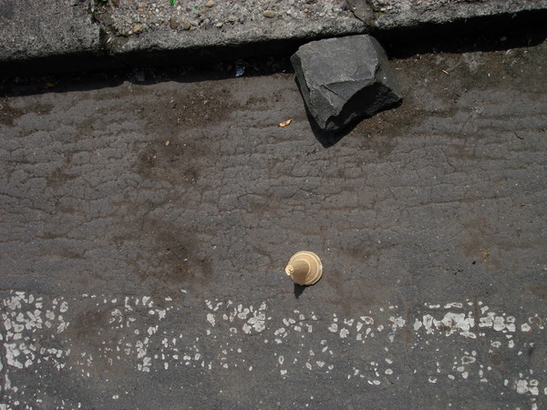 street observations 2006-2009